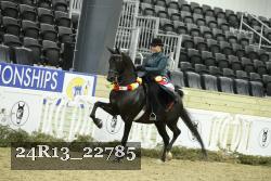 24R13_22785 thumbnail
