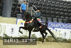 24R13_22787 thumbnail