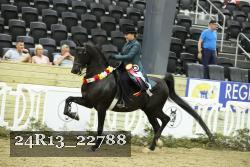 24R13_22788 thumbnail
