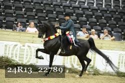 24R13_22789 thumbnail