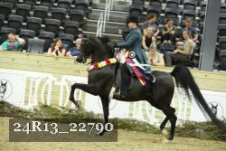 24R13_22790 thumbnail