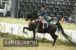 24R13_22791 thumbnail
