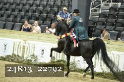 24R13_22792 thumbnail