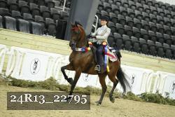 24R13_22795 thumbnail