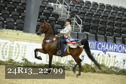 24R13_22799 thumbnail