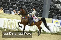 24R13_22800 thumbnail