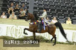 24R13_22801 thumbnail