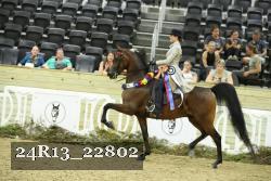 24R13_22802 thumbnail