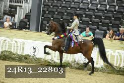24R13_22803 thumbnail
