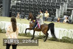 24R13_22804 thumbnail