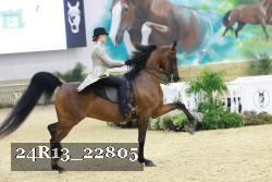 24R13_22805 thumbnail