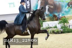 24R13_22806 thumbnail