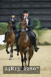 24R13_22807 thumbnail