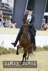 24R13_22814 thumbnail
