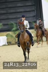 24R13_22816 thumbnail