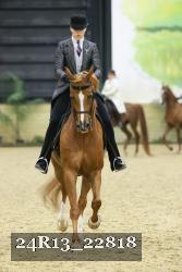 24R13_22818 thumbnail