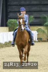 24R13_22820 thumbnail