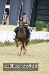 24R13_22836 thumbnail