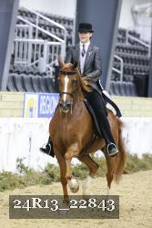 24R13_22843 thumbnail