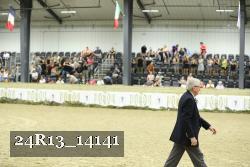 24R13_14141 thumbnail