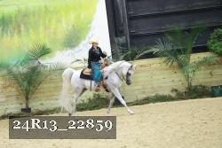 24R13_22859 thumbnail