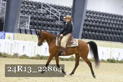 24R13_22864 thumbnail
