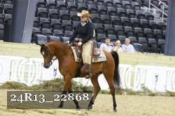 24R13_22868 thumbnail