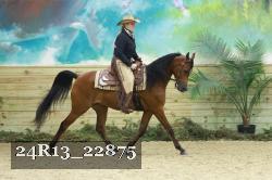 24R13_22875 thumbnail