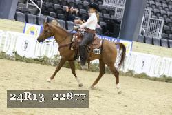 24R13_22877 thumbnail