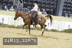 24R13_22879 thumbnail