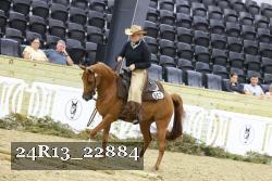 24R13_22884 thumbnail