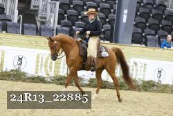 24R13_22885 thumbnail