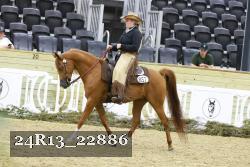 24R13_22886 thumbnail