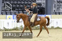 24R13_22887 thumbnail