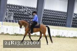 24R13_22900 thumbnail