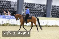 24R13_22901 thumbnail