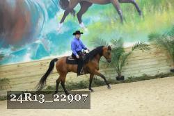 24R13_22907 thumbnail