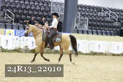 24R13_22910 thumbnail