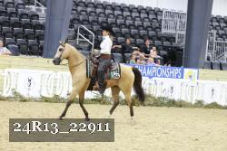 24R13_22911 thumbnail