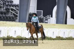 24R13_22947 thumbnail
