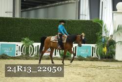24R13_22950 thumbnail