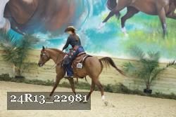 24R13_22981 thumbnail