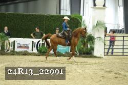 24R13_22991 thumbnail