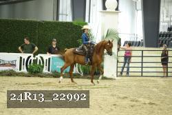 24R13_22992 thumbnail
