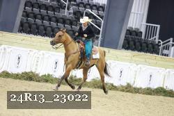 24R13_23022 thumbnail