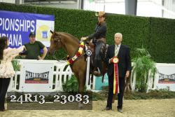 24R13_23083 thumbnail