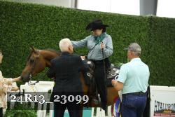 24R13_23099 thumbnail