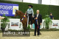 24R13_23101 thumbnail