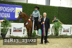24R13_23102 thumbnail