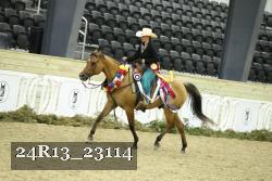 24R13_23114 thumbnail